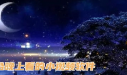 晚上看的视频,晚间视频深度解析