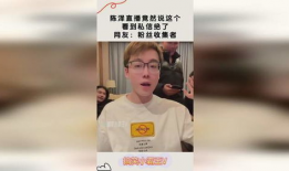 91陈泽直播回放,揭秘幕后故事与独家互动