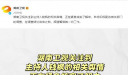 娱乐圈吃瓜帖子,揭秘明星背后的故事