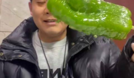 网红吃瓜爆料秃崽,秃崽秃顶之谜，真相竟如此惊人！